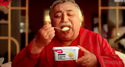 गर्मियों में रहिए कूल, वाडीलाल ने पेश किए केसर रसमलाई, फालूदा के फ्लेवर