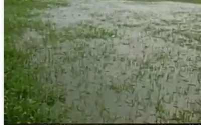 कर्नाटक में बारिश से तबाही : 24 लोगों की मौत, 5 लाख हेक्टेयर फसल नष्ट