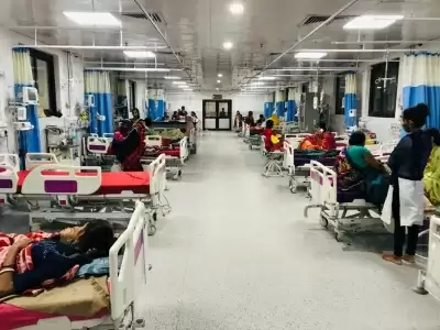दिल्ली के अस्पतालों में वायरल फीवर, डेंगू के मामलों में तेजी
