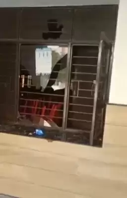 उत्तरांचल यूनिवर्सिटी में बवाल : महिला वार्डन ने पुरुष सहकर्मी पर लगाया छेड़छाड़ का आरोप