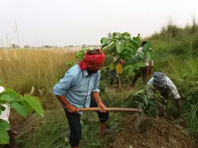 पर्यावरण संरक्षण के लिए शख्स ने ली है अविवाहित रहने की भीष्म प्रतिज्ञा