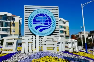 भारत में एससीओ फिल्म महोत्सव में दिखाई जाएंगी 5 चीनी फिल्में