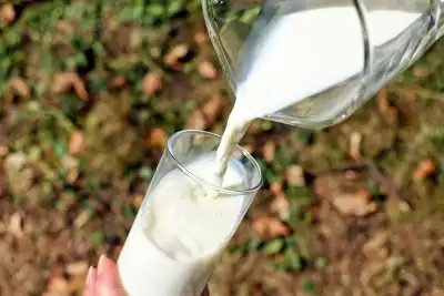 मुंबई : एमएमपीए ने 1 मार्च से भैंस के दूध की कीमतों में 5 रुपये प्रति लीटर की वृद्धि की घोषणा की