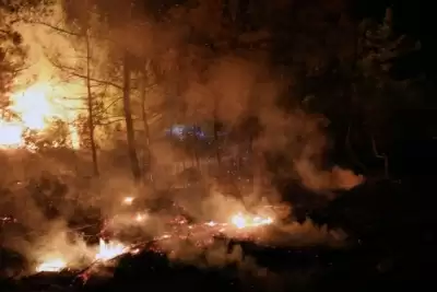 न्यू मैक्सिको में जंगल की आग मचा रही तबाही