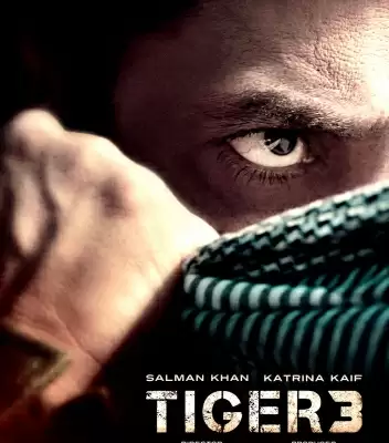 टाइगर 3 में सलमान-शाहरुख के सीक्वेंस के लिए 35 करोड़ रुपये में बनेगा सेट