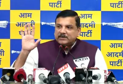 बीजेपी अपने ऊपर लगे भ्रष्टाचार के मुद्दों पर जांच क्यों नहीं कराना चाहती : संजय सिंह