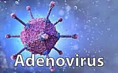 एडेनोवायरस अलार्म : बंगाल स्वास्थ्य विभाग ने एडवाइजरी जारी की