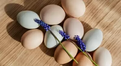 बर्ड फ्लू के प्रकोप के बीच जापान में अंडे की कीमतों में उछाल