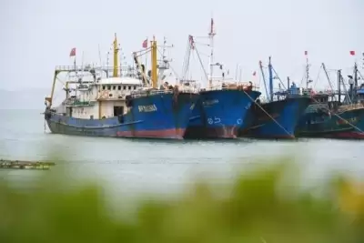 चीन ने समुद्री से गर्मियों में मछली पकड़ने पर लगाया प्रतिबंध