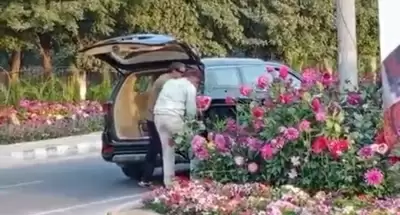गुरुग्राम : जी-20 के लिए लगाए गए गमलों को लक्जरी कार सवार दो लोगों ने चुराया, एफआईआर दर्ज