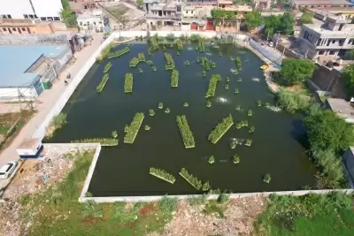दिल्ली: 250 जलाशयों और 23 झीलों को किया जा रहा है जीवंत