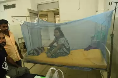 दिल्ली: नहीं थमा डेंगू का खतरा, डेंगू के 158 तो मलेरिया के 68 मामले सामने आए