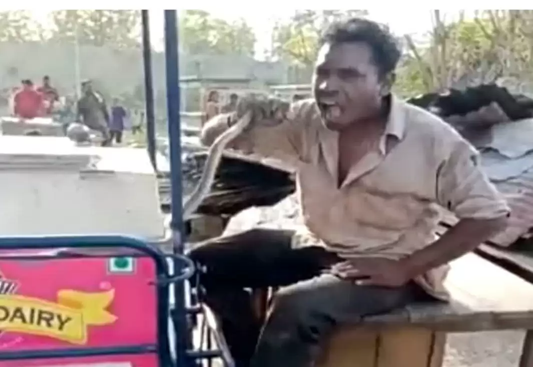 सांप को जिंदा खाने वाले शख्स को वन विभाग और पुलिस ने किया गिरफ्तार
