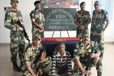 बांग्लादेशी तस्कर 2.78 करोड़ रुपये मूल्य के सोने के बिस्कुट के साथ गिरफ्तार