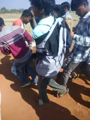 झारखंड में हाथियों ने चार को कुचलकर मार डाला, तीन दिनों में 11 की ली जान