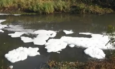 नोय्याल नदी में सीवेज छोड़े जाने के खिलाफ कोयंबटूर में किसानों का प्रदर्शन