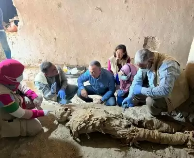 मिस्र के लक्सर में प्राचीन परिवार की कब्रें मिलीं