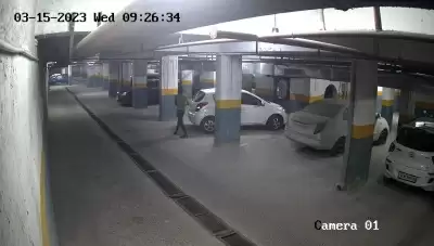 नौकरी से हटाया, तो 15 कारों पर उड़ेला तेजाब