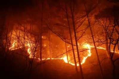 कैलिफोर्निया के सबसे बड़े जंगल की आग से 162 ढांचे नष्ट