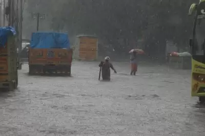 तमिलनाडु के कई इलाकों में 5 अगस्त तक भारी बारिश की संभावना