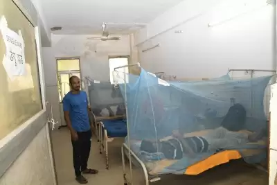 पाकिस्तान में डेंगू के मामले बढ़ने पर अस्पतालों में बेड की किल्लत