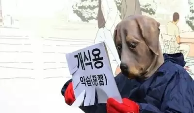 दक्षिण कोरिया कुत्ते के मांस की खपत पर सलाहकार निकाय करेगा शुरू