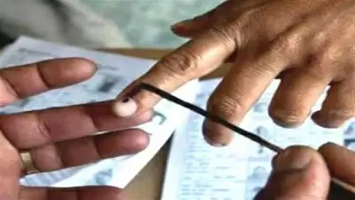 महाराष्ट्र विधान परिषद चुनाव: 225 विधायकों ने दिया वोट