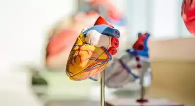 आईआईटी: वयस्कों में हृदय रोगों के सबसे खतरनाक कारणों का पता लगाया