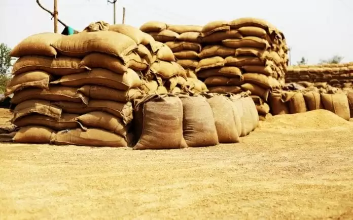 सरकार ने कहा- देश के पास गेहूं और चावल का पर्याप्त स्टॉक उपलब्ध