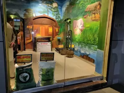 मप्र : अंबिकापुर का एम्पोरियम है गोबर के उत्पादों का शो-रूम