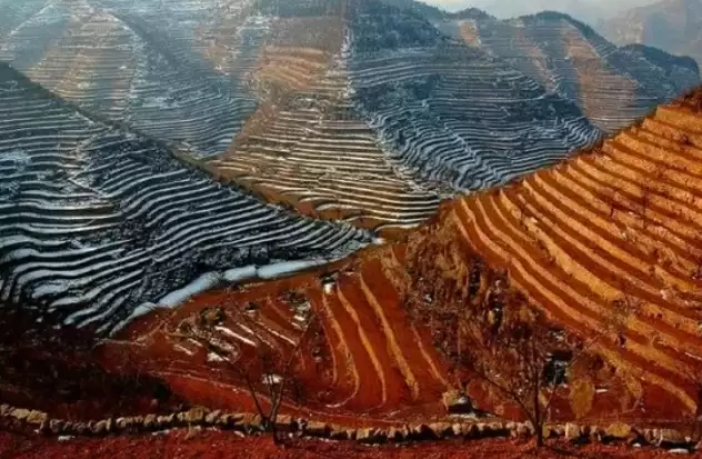 रोम में आयोजित कृषि विरासत प्रणाली प्रमाणन समारोह