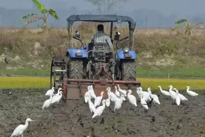 कृषि यंत्रीकरण और ड्रिप इरीगेशन को बढ़ावा दे रही है यूपी सरकार