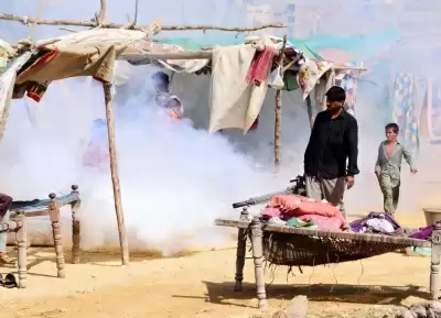 पाकिस्तान में 24 घंटे में 1,000 से अधिक नए मामलों के साथ डेंगू का कहर जारी