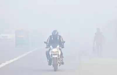 दिल्ली में घना कोहरा, पालम में दृश्यता घटकर 50 मीटर हुई