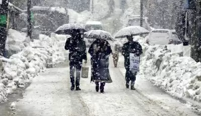 कश्मीर, लद्दाख में बढ़ी ठंड, जम्मू में कड़ाके की सर्दी के अंत का मनाया गया जश्न