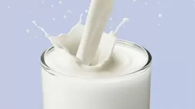 मप्र में दूध उत्पादों के मिलावटखोरों के खिलाफ अभियान, 5 हजार नमूने लिए
