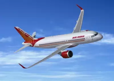 पेशाब मामला : एयर इंडिया ने कमांडर के लाइसेंस निलंबन को पर्याप्त माना, अपील में मदद मिलेगी