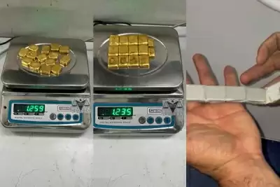 इंडिगो के 2 विमानों में छापेमारी, 1.15 करोड़ रुपये मूल्य की 28 सोने की छड़ें जब्त