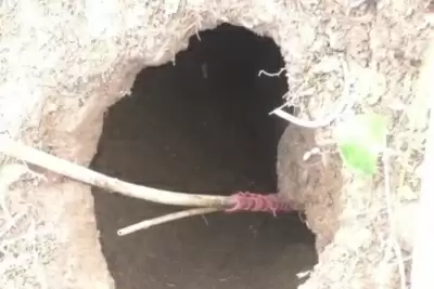 जोशीमठ में रविग्राम वॉर्ड में बने गहरे गड्ढे ने लोगों की बढ़ाई मुसीबत