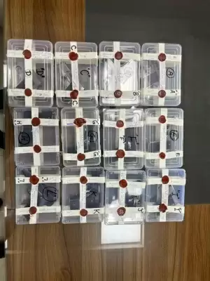 दिल्ली में दो हथियार तस्कर गिरफ्तार, 12 अवैध पिस्टल जब्त