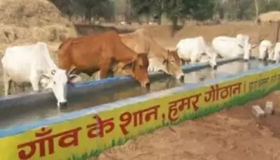 छत्तीसगढ़ में गौठान बने आर्थिक गतिविधियों के केंद्र