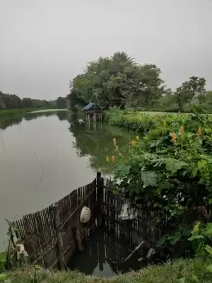 पूर्वी कोलकाता आद्र्रभूमि के मछली किसानों के लिए सूख गया पानी, आजीविका का स्रोत