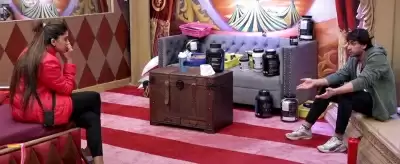 बिग बॉस 16: शालिन ने निमृत से अपना दुख किया साझा