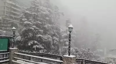 शिमला में सीजन की पहली बर्फबारी, पर्यटकों में उत्साह