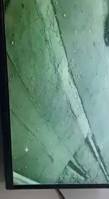 गाजियाबाद में तेंदुए की फिर दहशत, बंद हुई अदालत