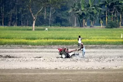 बिहार में बाढ़, अतिवृष्टि से फसलों को होने वाले नुकसान का जल्द मिलेगा किसानों को मुआवजा