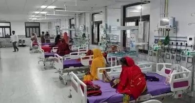 बिहार : गर्मी बढ़ते ही अस्पताल पहुंचने लगे एईएस के मरीज, स्वास्थ्य विभाग तैयार