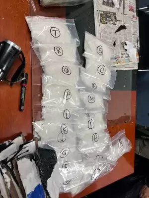 सीआईएसएफ ने दिल्ली एयरपोर्ट पर महिला यात्री से 4.78 करोड़ का एम्फैटेमिन ड्रग बरामद किया