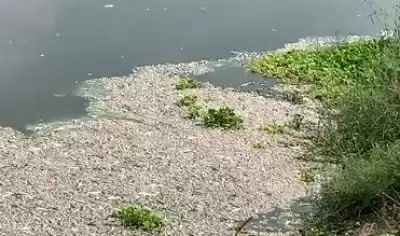 दिल्ली के नजफगढ़ ड्रेन में चलेगी नाव