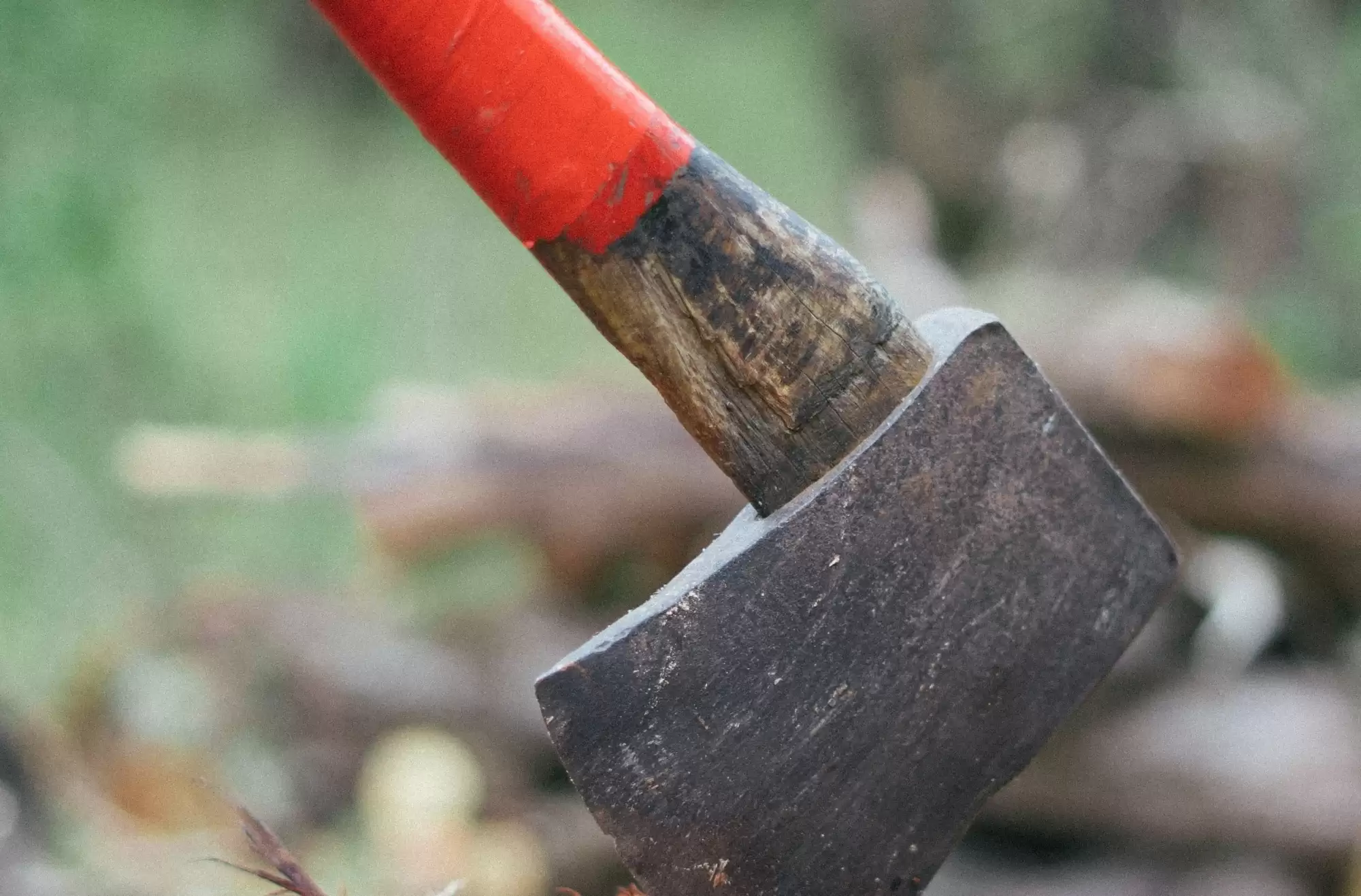 ओडिशा में व्यक्ति, पत्नी का सिर काटकर गांव ले गया